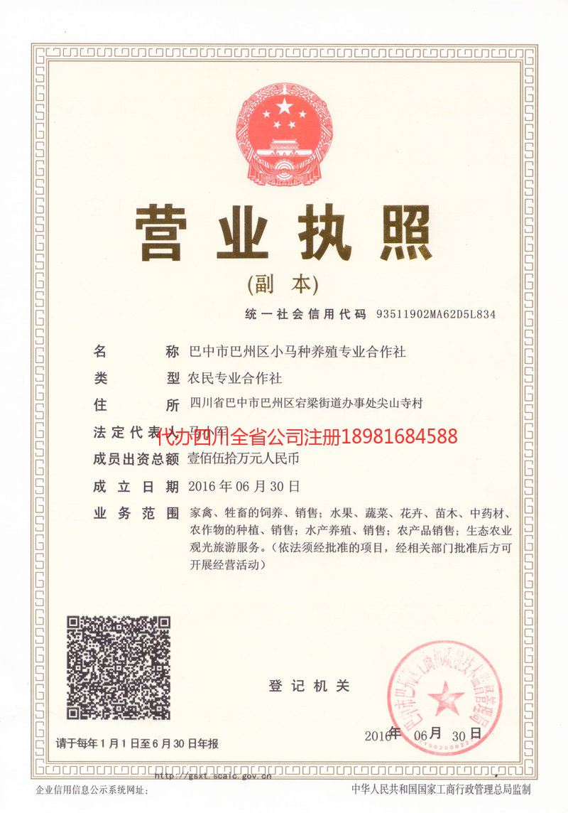 高密高密小马种养殖专业合作社